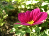DSC08229.JPG